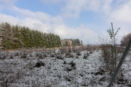Hauptbild Gut erreichbares Ackergrundstück in attraktiver Lage - ca. 6.600 m² in Schnaitsee